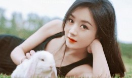 黑料网 =明星明星公开道歉,明星公开道歉事件大盘点