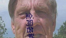 吃瓜网在线观看视频